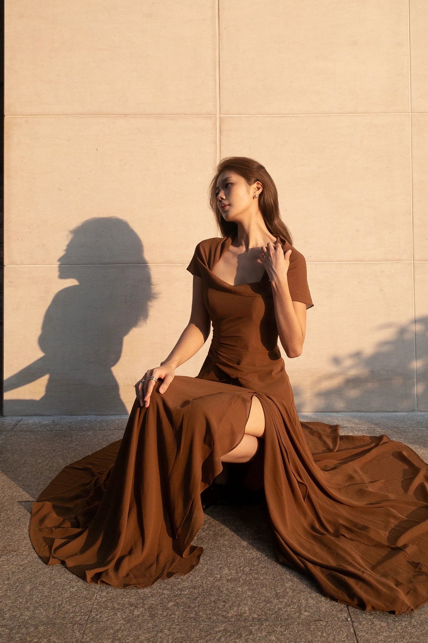 Dune Chiffon Dress in brown - editorial pose