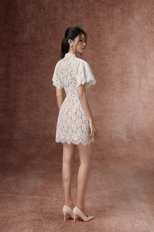 Petal Sleeve Lace Dress